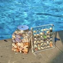 1pc Square Acrylic Seashell Display Box, Transparent Specimen Showcase With 36 Compartments, Magnetic Lid, High Clarity, Suitable For Daily Collection - Multicolor - View 4