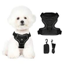 3件套宠物户外旅行套装，小型犬胸背带牵引绳拾便袋，必备遛狗胸背带 - 彩色 - 查看 4
