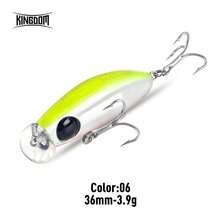 Kingdom 1PC 新款微型米诺鱼饵 36mm/40mm 2.6g/3.3g/3.9g/5.2g 远投型塑料拟饵 慢沉/快沉型米诺硬饵 适用于鲈鱼、梭鱼、鳟鱼 - 彩色 - 查看 24