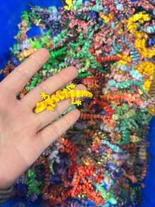 Collectibles Display & Storage - Multicolor - View 6