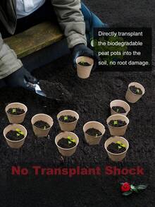 20个有机纤维育苗盘，可堆肥植物盆，适用于幼苗、温室，3.15英寸泥炭盆，附20个植物标签，带排水孔的种子发芽盘 - 多色 - 查看 2
