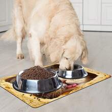 1件装猫咪喂食垫，宠物食品和水碗垫，饮水垫，室内 - 黑色 - 查看 8