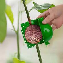 10pcs Reusable Plastic Plant Propagation Box, Durable Rooting Tool For Gardening Hobbyists And Plant Lovers, Cutting, Grafting, Air Layering, Plant Propagation Supplies - B - View 13
