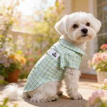 BJAYPET 春夏薄款格子衬衫宠物服装，适合小型/中型犬猫的时尚服饰 - 綠色 - 查看 8