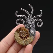 天然化石胸针，菊石形状，海螺壳材质，服装别针，适用于外套、连衣裙等服饰 - 胸針 - 查看 1