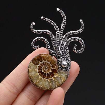 天然化石胸针，菊石形状，海螺壳材质，服装别针，适用于外套、连衣裙等服饰