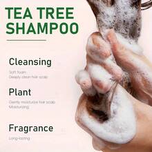 每7天洗一次头，整夜不脱发，10合1天然茶树多效洗发护发素。即刻抚平毛躁，防止断裂，瞬间清爽，控油丰盈，质地轻盈，不留残余。即刻滋养干燥分叉的发梢，令稀疏的头发看起来更浓密、更丰盈、更健康。是理想的婚礼回礼或小礼物。 - 洗髮水 - 查看 5