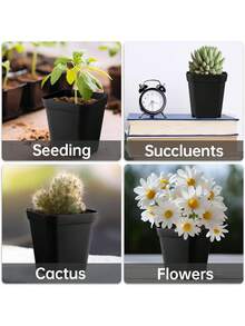 10/20/50个装方形植物播种种植杯塑料深盆苗圃树盆花卉植物容器盆栽花园种植 - 多色 - 查看 11