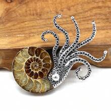 天然化石胸针，菊石形状，海螺壳材质，服装别针，适用于外套、连衣裙等服饰 - 胸針 - 查看 3