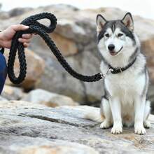 BJAYPET Medium/Large Dog Leash, 8-Strand Braided Pet Leash, Dog Leash, Outdoor Pet Supplies - Black - View 5