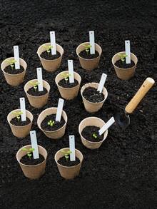 20个有机纤维育苗盘，可堆肥植物盆，适用于幼苗、温室，3.15英寸泥炭盆，附20个植物标签，带排水孔的种子发芽盘 - 多色 - 查看 4