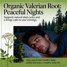 Valerian Root Capsules - Supports Natural Sleep And Quick Sleep Onset - Each Serving Contains 450mg Valerian Root Extract - Balances Mood - 120 Capsules - 1瓶 - 查看 7