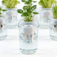 Bộ 10 giỏ trồng cây thủy canh (bao gồm 10 giỏ trồng + 10 miếng xốp ươm hạt) | Giúp cố định hạt giống, chống nổi, hệ rễ trong suốt, phụ kiện cho hệ thống nhà kính thủy canh ban công. - A+B - Xem 2