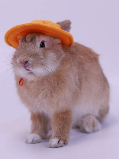 4 Styles Available Cute Pet Hats, Miniature Cat And Rabbit Felt Dress-Up Costumes, Multi-Color Small Dog & Puppy Photo Props, Fashionable Felt Hat For Small Pets Like Chinchilla And Tiny Rabbits, Pet Accessories