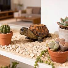 1pc Realistic Turtle Shaped Planter; Brown And Gray Textured Resin Turtle Shaped Planter, Realistic Turtle Shell Detail Simulated Succulent Plant Pot Sculpture, Country Style Animal Plant Display Rack, Suitable For Yard, Lawn, Patio, Spring And Summer Outdoor Backyard Landscape Decoration And Gift - One Size - View 5