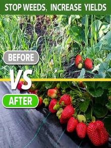 Tela de barrera negra - Tela de barrera de plástico, adecuada para herramientas de jardinería y cuidado del césped, barrera - Tela antimaleza - Ver 5