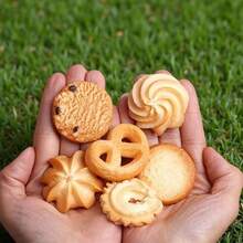 Bộ 6 món đồ chơi bóp mềm hình bánh quy mùa hè mới ra mắt năm 2026, thích hợp cho các bữa tiệc, sinh nhật, lễ tốt nghiệp, quà tặng mùa hè, món quà hoàn hảo. - Nhiều màu - Xem 7