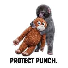 Bộ 10 hình dán khỉ phổ biến, với các thiết kế bao gồm: Một chú khỉ dễ thương đang tung cú đấm, một chú khỉ nổi tiếng ở sở thú, một chú khỉ dễ thương đang cầm đồ chơi và một chú khỉ nhỏ đang tung cú đấm. - Nhiều màu - Xem 4