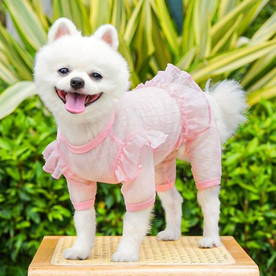 1件宠物蕾丝网纱连衣裙裤,轻盈透气,适合春夏穿着的犬猫服装 - 粉色 - 查看 1