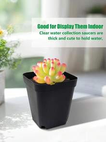 10/20/50个装方形植物播种种植杯塑料深盆苗圃树盆花卉植物容器盆栽花园种植 - 多色 - 查看 5