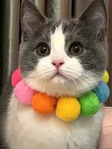 彩虹毛球宠物项圈 - 多色蓬松球项链，适合猫狗，色彩缤纷的派对配饰，柔软弹力宠物项圈，可爱宠物摄影装饰，毛绒球项链，柔软弹力项圈，宠物项链配饰，适合日常和庆祝活动使用 - 彩色 - 查看 5