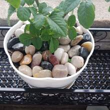500克/1.1磅河卵石，装饰鹅卵石，花园景观石，家居装饰花坛鱼缸植物花瓶多肉植物用碎石填充物 - A - 查看 4