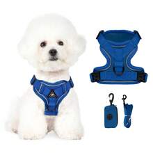 3件套宠物户外旅行套装，小型犬胸背带牵引绳拾便袋，必备遛狗胸背带 - 彩色 - 查看 7
