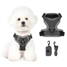 3件套宠物户外旅行套装，小型犬胸背带牵引绳拾便袋，必备遛狗胸背带 - 彩色 - 查看 5