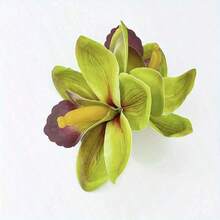 1PCS/3PCS New Hawaiian Simulation Orchid Flower Duckbill Clip Hairpin Side Hairpin Suitable For Bridal Wedding Hawaii Beach Tropical Party Decoration - Nhiều màu - Xem 11