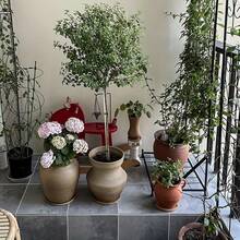 4件套圆形竹制植物托盘套装 - 多功能种植托盘，带排水孔，适用于室内外，非常适合多肉植物和仙人掌 - 圓形 - 查看 7