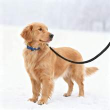 BJAYPET Medium/Large Dog Leash, 8-Strand Braided Pet Leash, Dog Leash, Outdoor Pet Supplies - Black - View 8