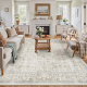 Accent | Tortora Multi