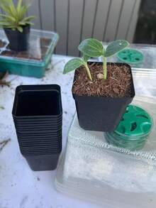 10/20/50个装方形植物播种种植杯塑料深盆苗圃树盆花卉植物容器盆栽花园种植 - 多色 - 查看 4