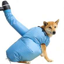 宠物烘干袋，猫狗通用吹风烘干外套，通用洗澡烘干衣物 - 彩色 - 查看 7