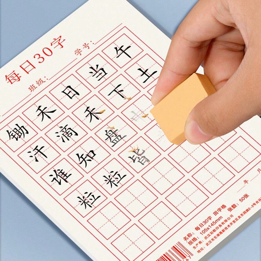 2pcs/100sheets Chinese Character Practice Notebook With Grid Lines, 30 Characters Per Day, Suitable For Calligraphy Practice By Men And Women Of All Ages, Professional Chinese Writing Paper - Multicolor - View 1