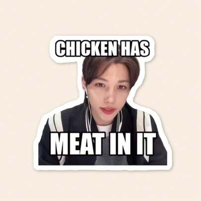 1pc FelixSticker, K-Pop Group Member Funny Quote Decal, Waterproof Sticker For Lightstick Tablet PC, Pop Culture Meme Accessory, SKZ STAY Fandom Merch