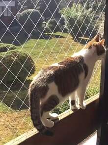 Filet de pour animaux de compagnie haute résistance et durable, convenant pour les balcons et les escaliers - empêche les fuites et les chutes, barrière d'intérieur pour animaux de compagnie facile à installer, convenant pour les chats, filet pour balcon pour chats, des escaliers, structure robuste - Blanc - Voir 2
