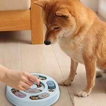 LPDI Dog Puzzle Food T For IQ Training Mental Enricent Blue Dog Treat Puzzle - Xanh đậm - Xem 5