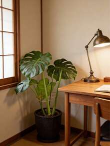1pc Gold Minimalist Plant Stem Support Ring, Reusable Metal Plant Stand Suitable For Monstera, Ivy, Indoor Potted Plants, All Season Gardening Tool - Monstera Leaves - View 4