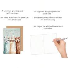 赛德尔高级生日贺卡（含信封）。贺卡上印有“生日男孩/女孩/儿童羊驼”字样（G3630 SW024）。 - A - 查看 2