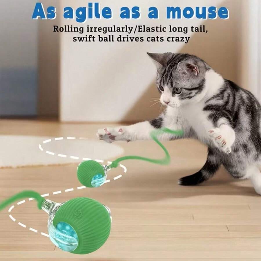 1 quả bóng đồ chơi cho mèo có dây kéo đuôi, bóng lăn thông minh, đồ chơi tự lăn cho thú cưng, bóng nhảy tương tác cho mèo, đồ chơi trêu chọc mèo tự động, đồ chơi cho chó nhỏ, đồ chơi vận động cho thú cưng, hoạt động cho mèo - Xem 1