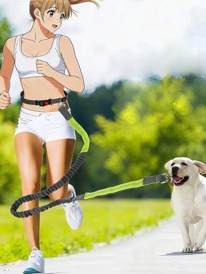 قيادة كلب قابلة للسحب للجري، حزام خصر لمشي الكلاب، قيادة خصر، قيادة كلب للجري بدون استخدام اليدين