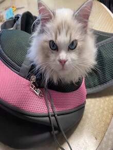 1 pieza Arnés para mascotas (perros) de malla transpirable, mochila de viaje, adecuado para perros y gatos - Rosa - Ver 6