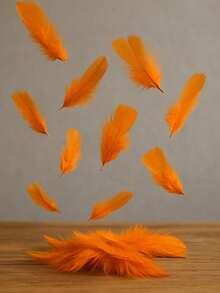Pluma de Pollo naranja. - Naranja - Ver 1