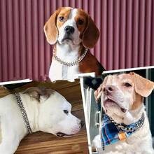Strong Stainless Steel Dog Collar, Buckle Lock, Gold Cuban Chain Training Collar, Pet Metal Necklace - Silver - View 3