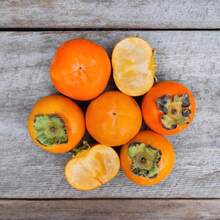 98Pcs Persimmon Fruit Tree For Planting Outdoors-Non GMO Exotic Diospyros Nongmo Juicy Plant For Home Gardening---Each Package With Products Name Label - 98pcs - View 1