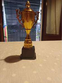 一套通用塑料金色奖杯 - 适用于各种活动、比赛、派对和小游戏。为获胜者颁发奖品。 - 大號獎杯 - 查看 11