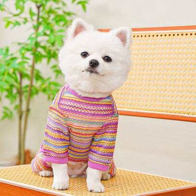春季/背心，猫/泰迪/比熊犬宠物服装，四脚防晒服