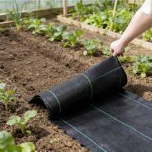 Barrier Fabric, Orchard Barrier, Agricultural Ground Cover, Suppression, Breathable And Permeable Ground Cloth, Aging Resistant - A - View 8
