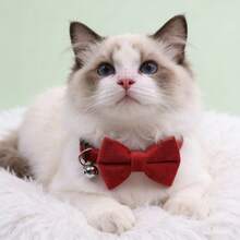 1件宠物领结项圈,天鹅绒猫咪领结项圈,可爱铃铛猫咪头箍,采用柔软材质制成,适合猫咪和幼猫,装饰您的爱猫 - 彩色 - 查看 5